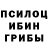 Галлюциногенные грибы мухоморы Augustus Bohn