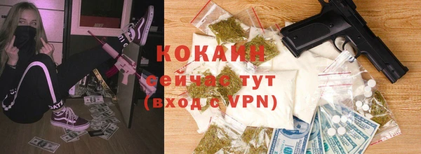 прущие крисы Аркадак