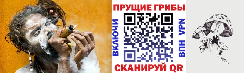 Псилоцибиновые грибы GOLDEN TEACHER  Купить где  Лыткарино 